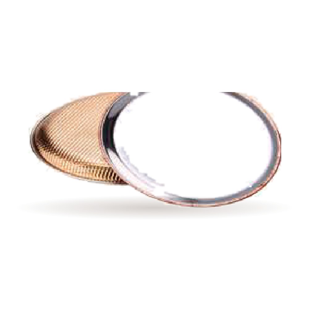 Round Steel-Copper Dinner Plate — Steel–Copper